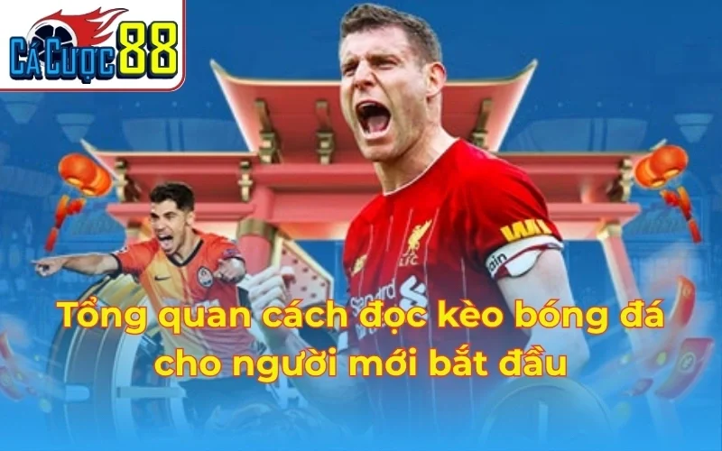 Tổng quan cách đọc kèo bóng đá cho người mới bắt đầu